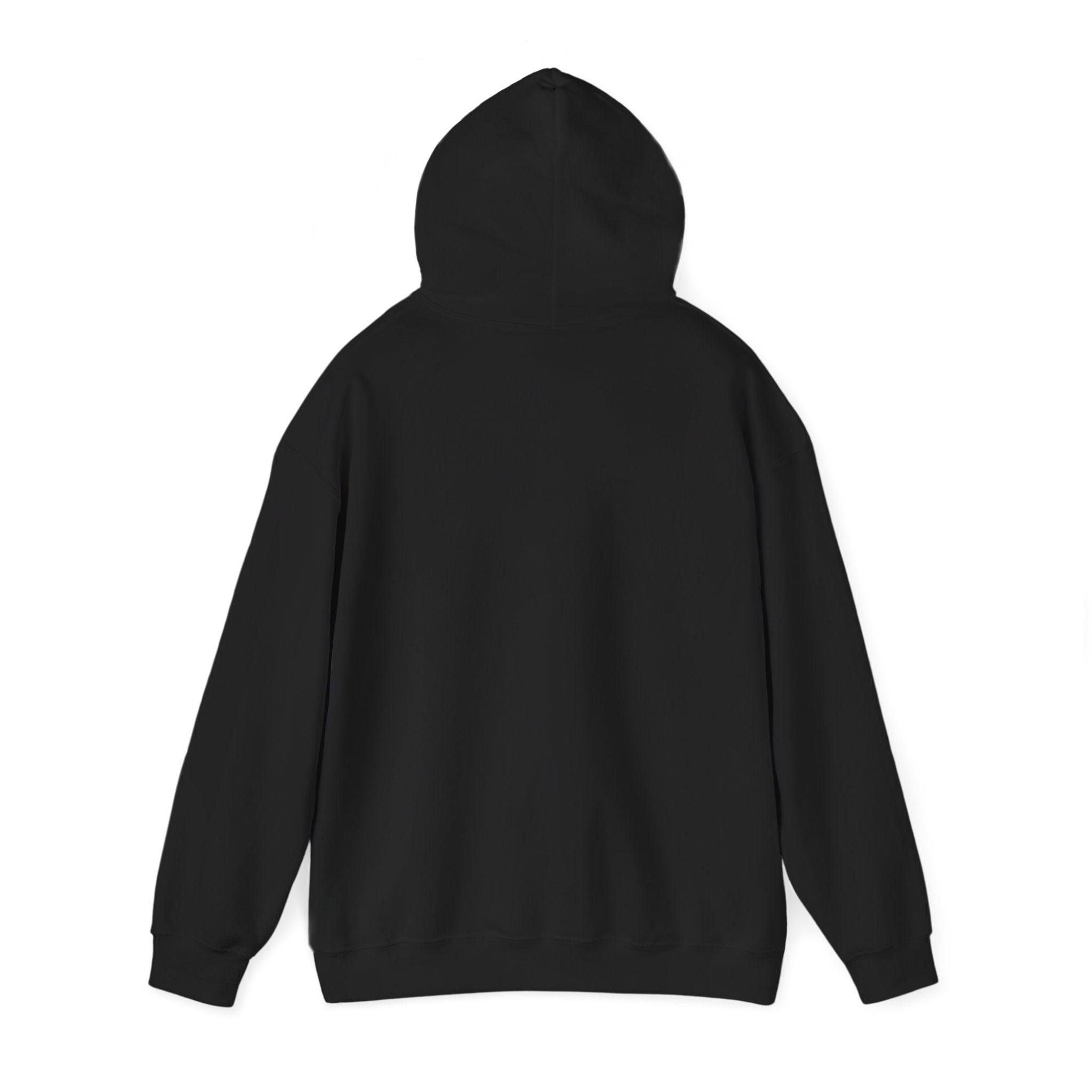 AVENYR Classic Black Hoodie - Avenyr