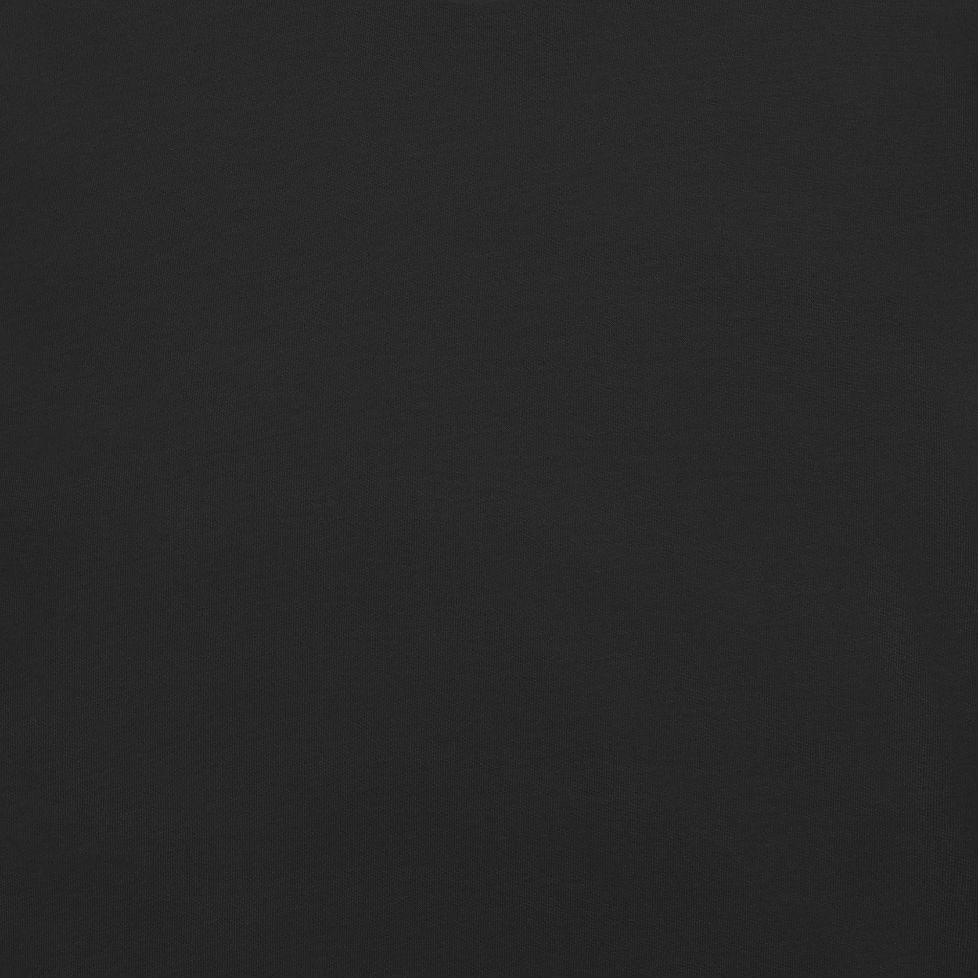 Heavyweight t-shirt - Avenyr